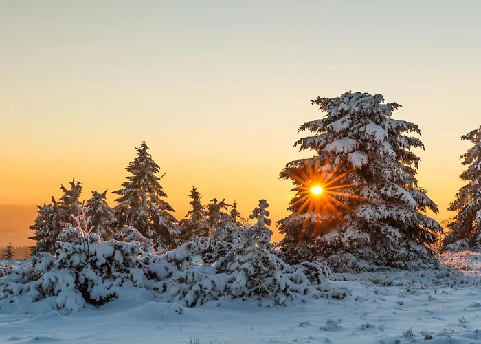 Silberberg 빌라 빈터베르크